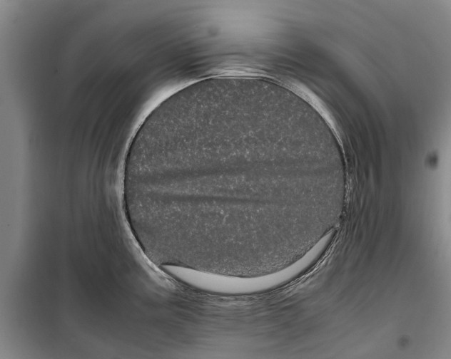 X0000099431195200805301422