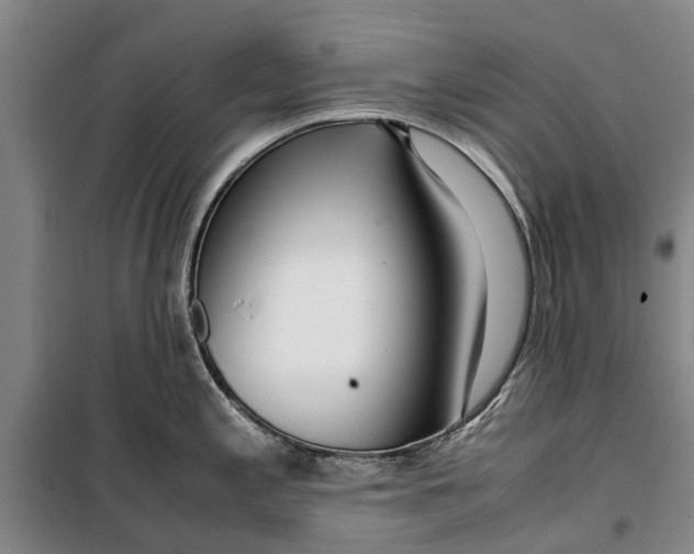 X0000099431197200805301422