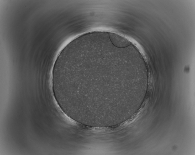 X0000099431199200805301422