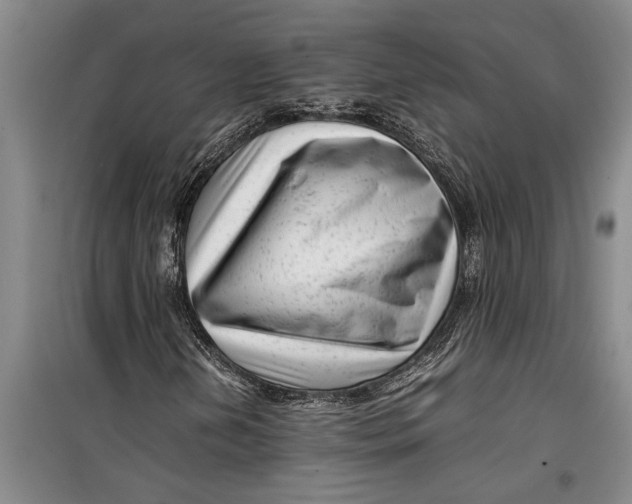 X0000099431202200805301421