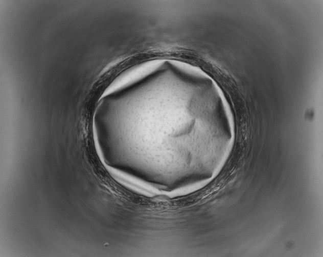 X0000099431206200805301421