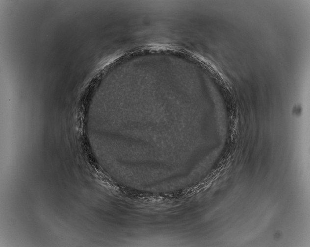 X0000099431207200805301421