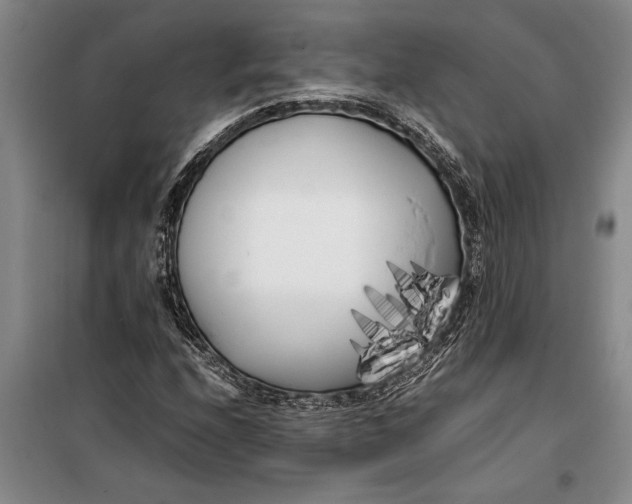 X0000099431208200805301421