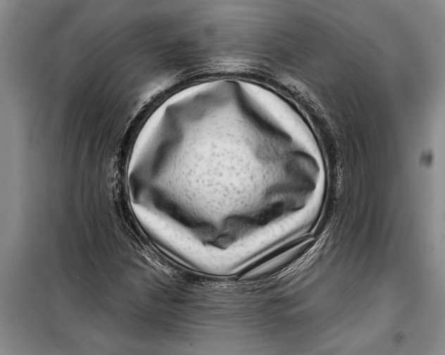 X0000099431210200805301421