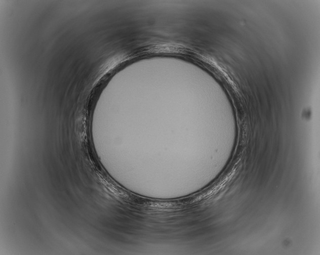 X0000099431211200805301421