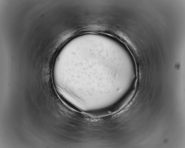 X0000099431213200805301421