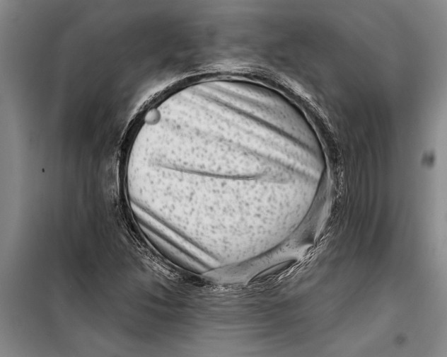 X0000099431214200805301421