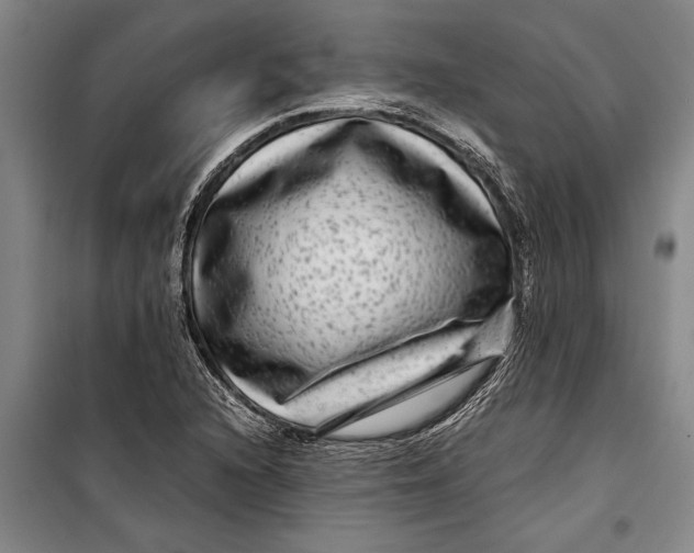 X0000099431216200805301421