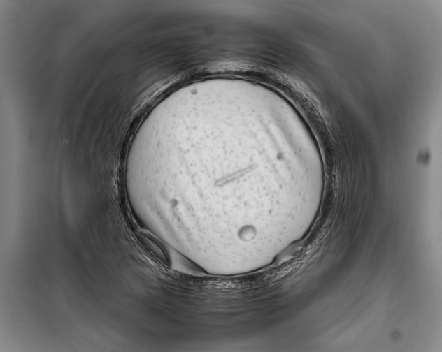 X0000099431217200805301421