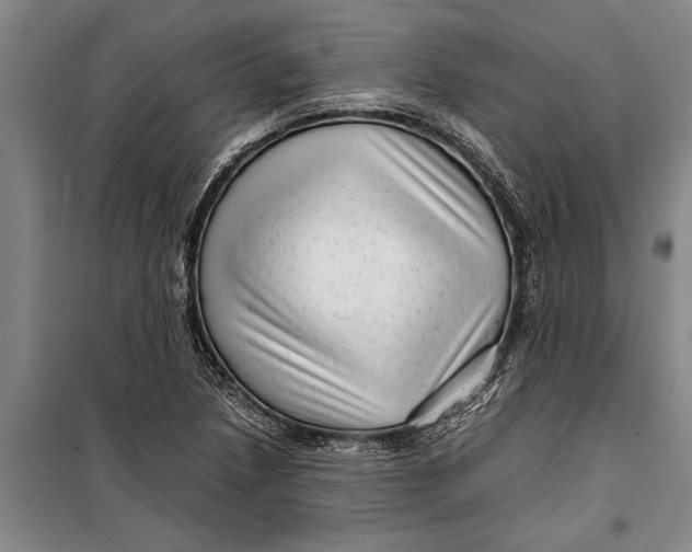 X0000099431218200805301421