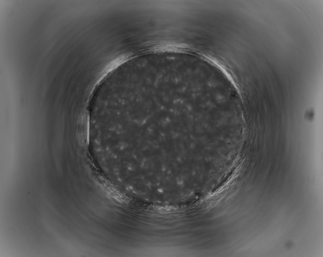 X0000099431219200805301421