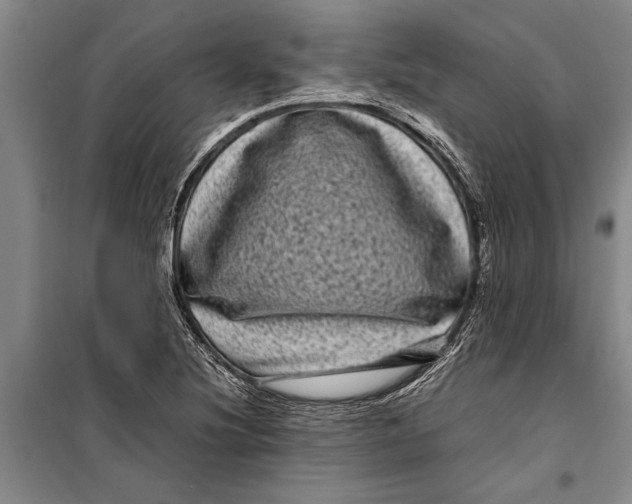 X0000099431220200805301421