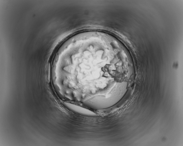 X0000099431223200805301422