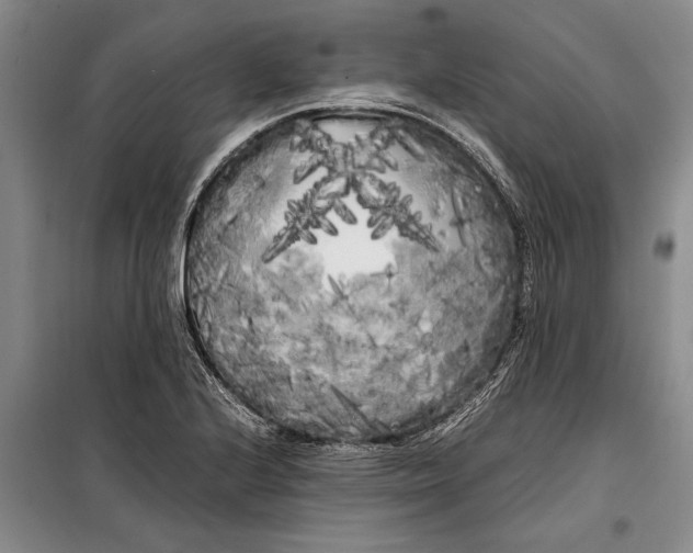 X0000099431224200805301422