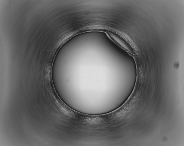 X0000099431225200805301422