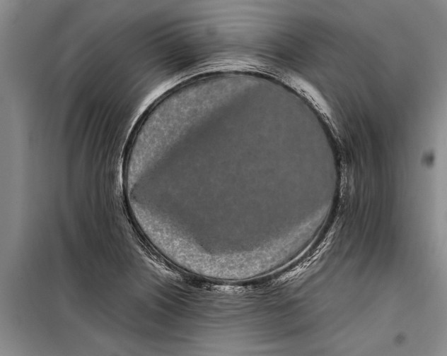 X0000099431226200805301422