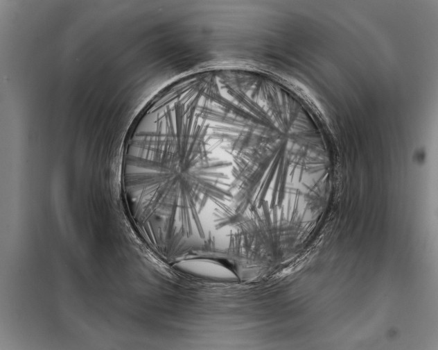 X0000099431228200805301422