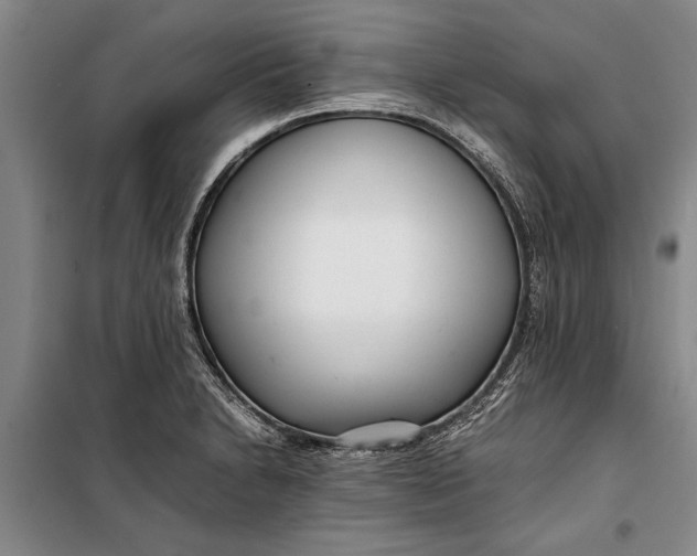 X0000099431230200805301422