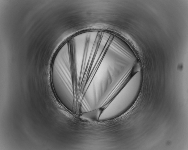 X0000099431232200805301422