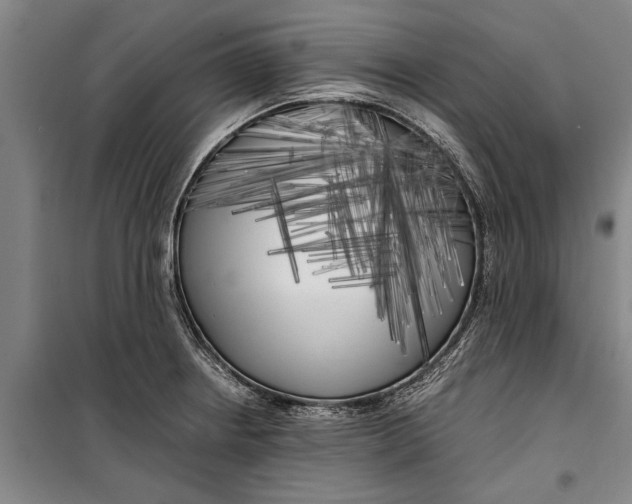 X0000099431234200805301422