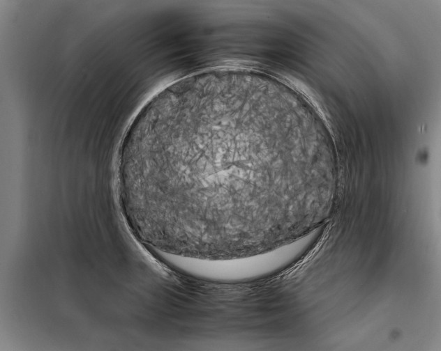 X0000099431235200805301422