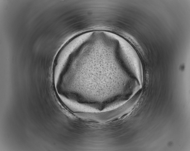 X0000099431236200805301422