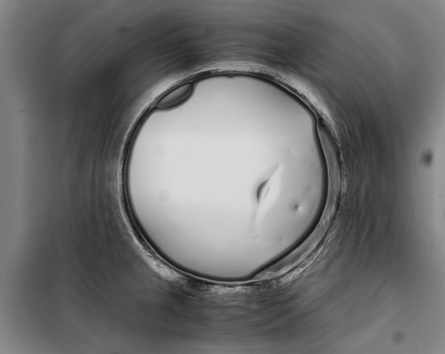 X0000099431237200805301422