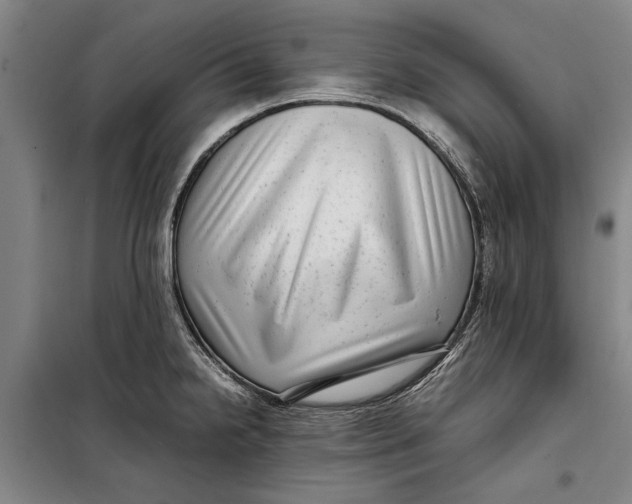 X0000099431238200805301422