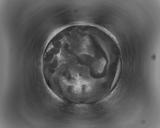 X0000099431239200805301422