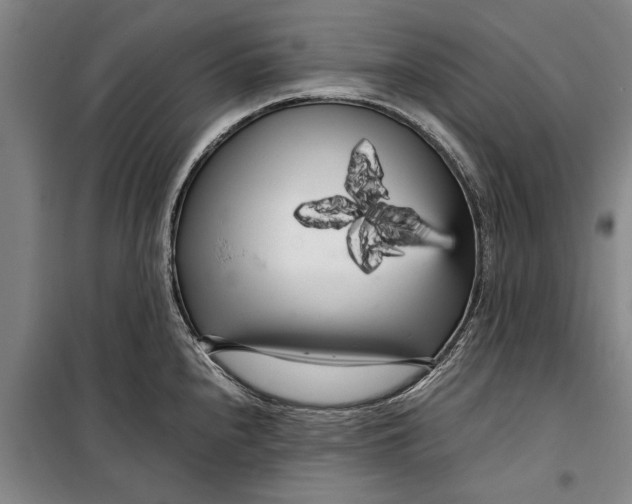 X0000099431240200805301422