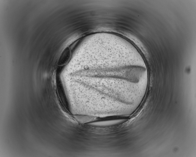 X0000099431241200805301422