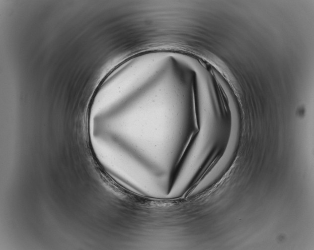 X0000099431242200805301422