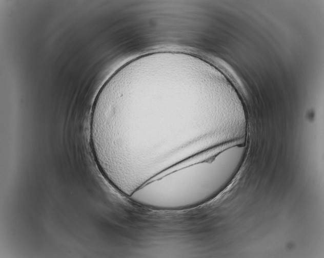 X0000099431244200805301422