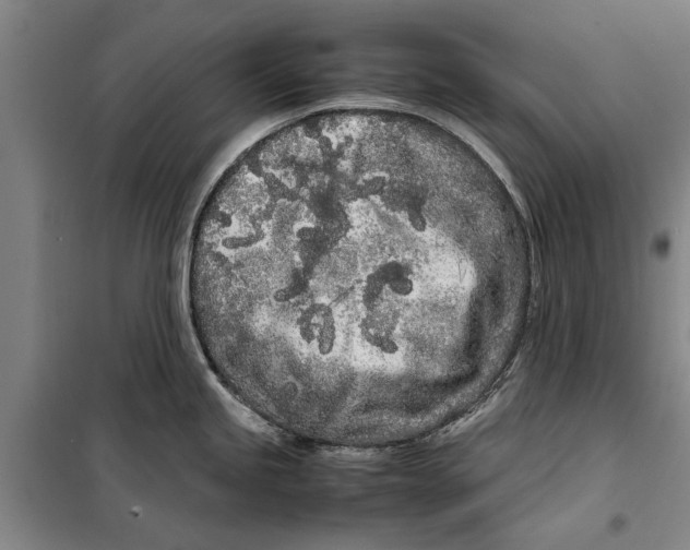 X0000099431245200805301422