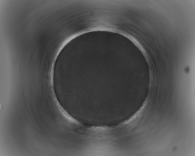 X0000099431246200805301422