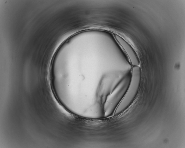 X0000099431247200805301422