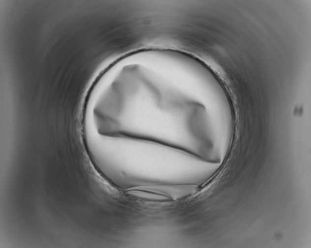 X0000099431248200805301422