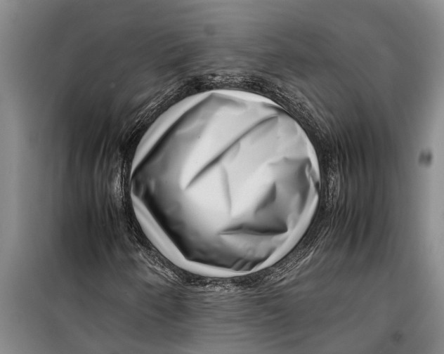 X0000099431250200805301421