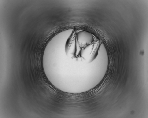 X0000099431252200805301421