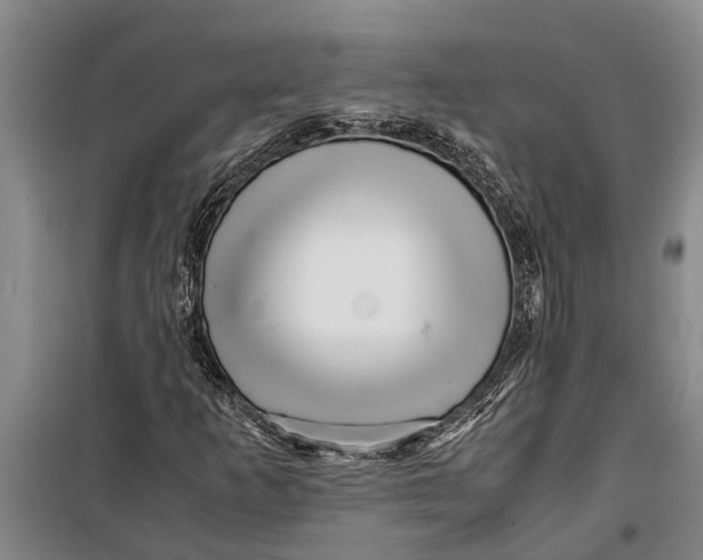 X0000099431253200805301421