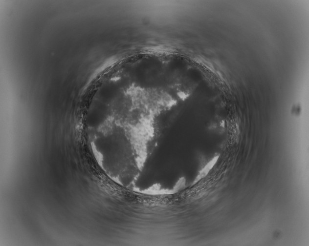 X0000099431254200805301421