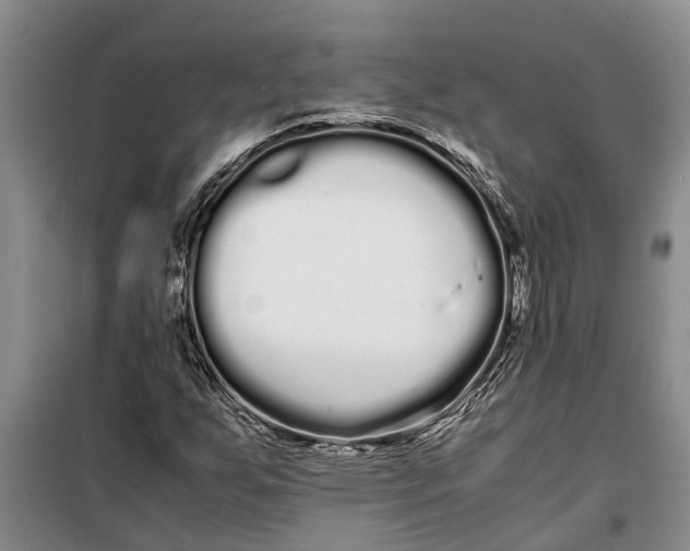 X0000099431255200805301421