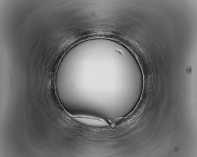 X0000099431257200805301421