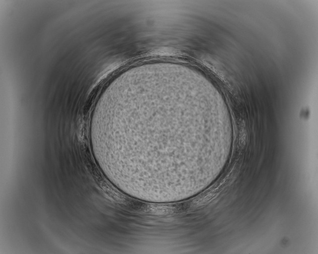 X0000099431258200805301421