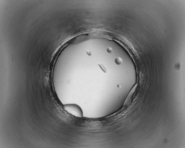 X0000099431260200805301421