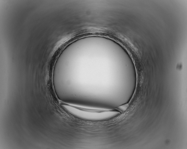 X0000099431261200805301421