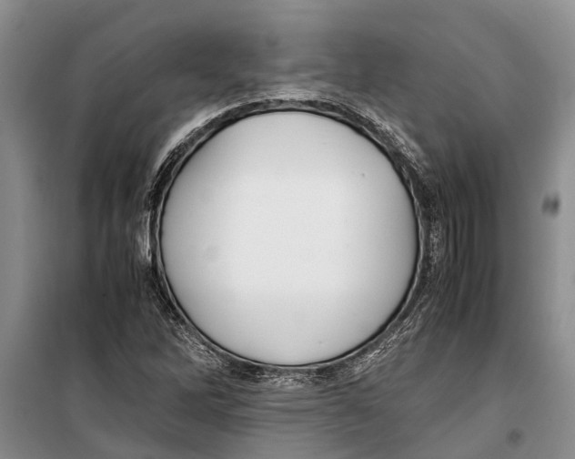 X0000099431262200805301421