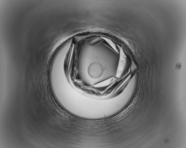 X0000099431263200805301421