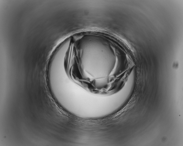 X0000099431264200805301421