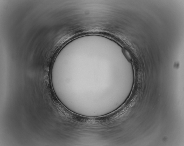 X0000099431265200805301421